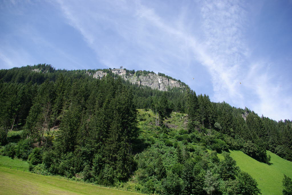 IMGP6531